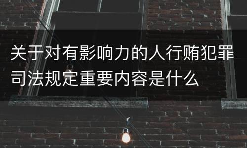 关于对有影响力的人行贿犯罪司法规定重要内容是什么