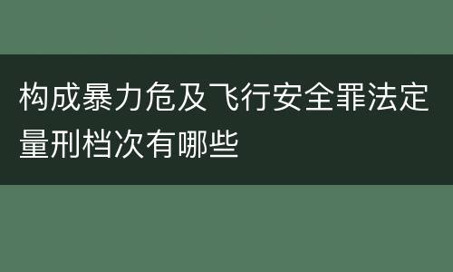 构成暴力危及飞行安全罪法定量刑档次有哪些