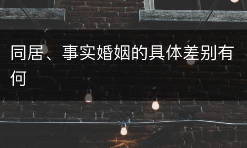同居、事实婚姻的具体差别有何