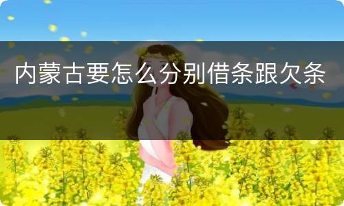 内蒙古要怎么分别借条跟欠条