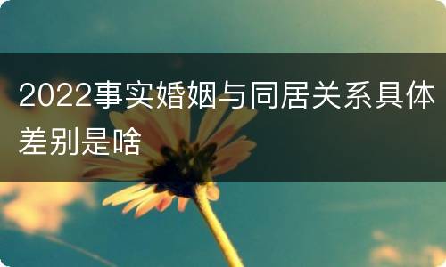 2022事实婚姻与同居关系具体差别是啥