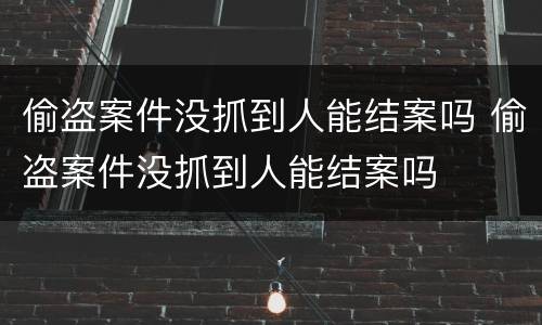 偷盗案件没抓到人能结案吗 偷盗案件没抓到人能结案吗