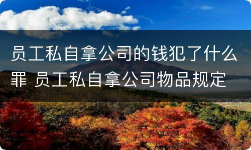 员工私自拿公司的钱犯了什么罪 员工私自拿公司物品规定