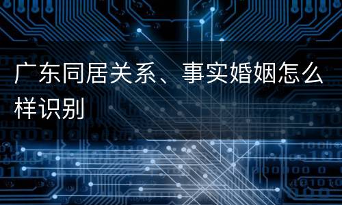 广东同居关系、事实婚姻怎么样识别