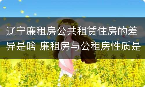 辽宁廉租房公共租赁住房的差异是啥 廉租房与公租房性质是一样的吗