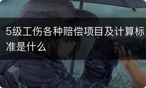 5级工伤各种赔偿项目及计算标准是什么