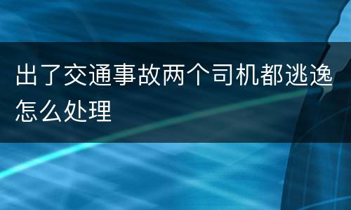 出了交通事故两个司机都逃逸怎么处理