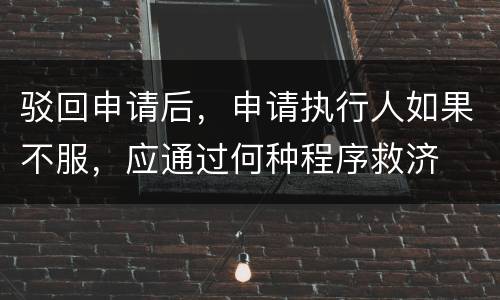 驳回申请后，申请执行人如果不服，应通过何种程序救济