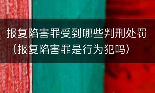 报复陷害罪受到哪些判刑处罚（报复陷害罪是行为犯吗）