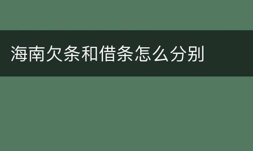 海南欠条和借条怎么分别