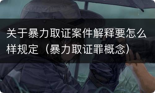 关于暴力取证案件解释要怎么样规定（暴力取证罪概念）