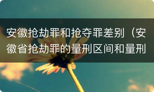 安徽抢劫罪和抢夺罪差别（安徽省抢劫罪的量刑区间和量刑情节）