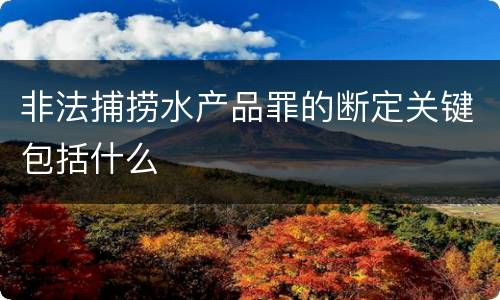 非法捕捞水产品罪的断定关键包括什么