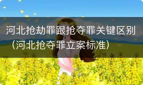 河北抢劫罪跟抢夺罪关键区别（河北抢夺罪立案标准）