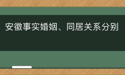 安徽事实婚姻、同居关系分别