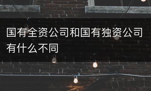 国有全资公司和国有独资公司有什么不同