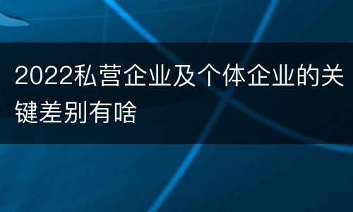 2022私营企业及个体企业的关键差别有啥