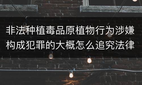 非法种植毒品原植物行为涉嫌构成犯罪的大概怎么追究法律责任