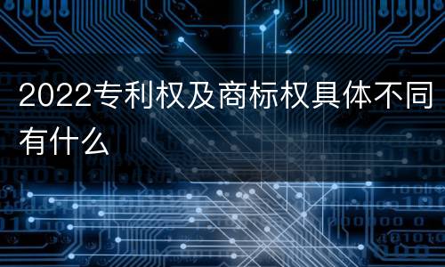 2022专利权及商标权具体不同有什么