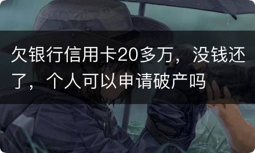 欠银行信用卡20多万，没钱还了，个人可以申请破产吗