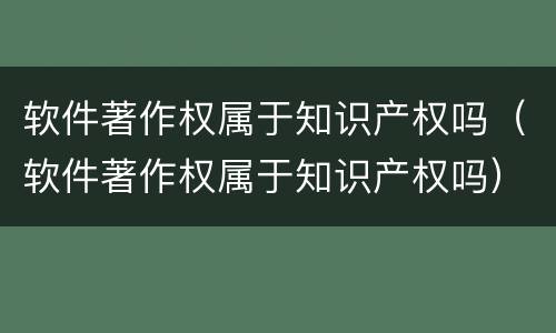 软件著作权属于知识产权吗（软件著作权属于知识产权吗）