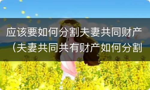 应该要如何分割夫妻共同财产（夫妻共同共有财产如何分割）