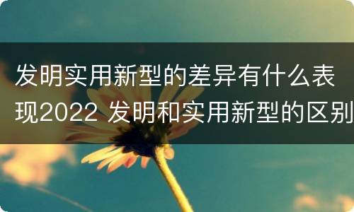 发明实用新型的差异有什么表现2022 发明和实用新型的区别