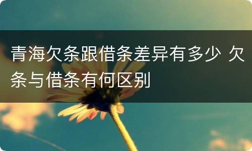 青海欠条跟借条差异有多少 欠条与借条有何区别