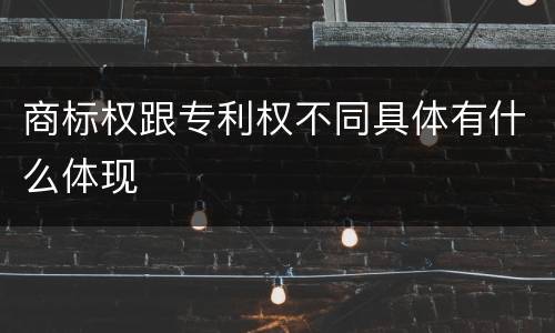 商标权跟专利权不同具体有什么体现