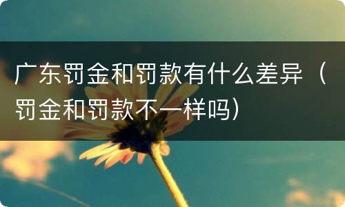 广东罚金和罚款有什么差异（罚金和罚款不一样吗）