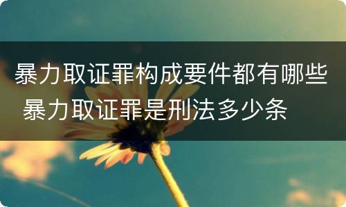 暴力取证罪构成要件都有哪些 暴力取证罪是刑法多少条