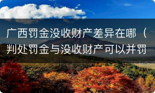 广西罚金没收财产差异在哪（判处罚金与没收财产可以并罚吗）