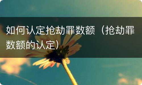 如何认定抢劫罪数额（抢劫罪数额的认定）