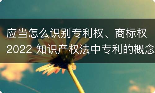应当怎么识别专利权、商标权2022 知识产权法中专利的概念