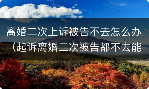 离婚二次上诉被告不去怎么办（起诉离婚二次被告都不去能判离吗）