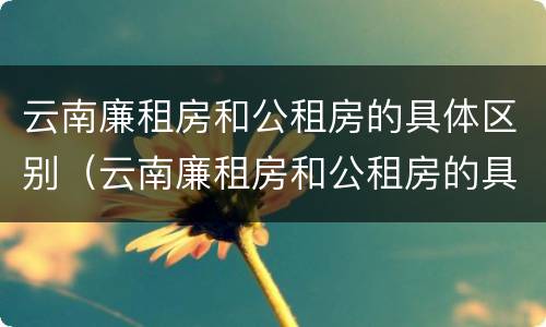 云南廉租房和公租房的具体区别（云南廉租房和公租房的具体区别是什么）