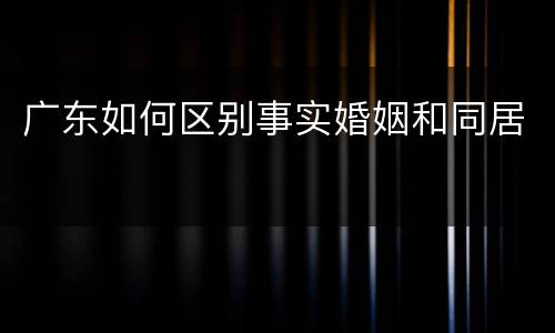 广东如何区别事实婚姻和同居