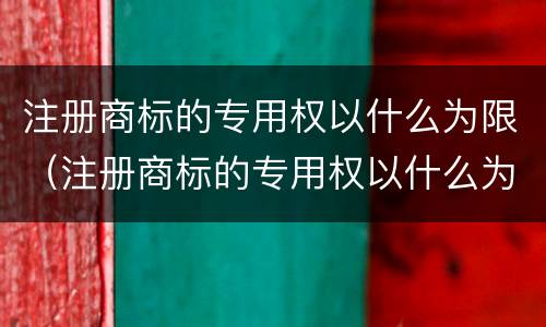注册商标的专用权以什么为限（注册商标的专用权以什么为限制）