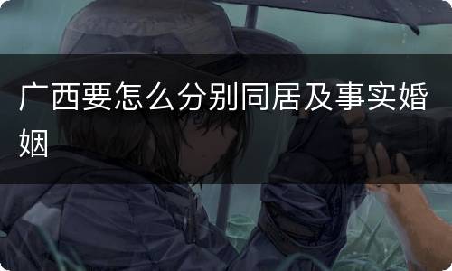 广西要怎么分别同居及事实婚姻