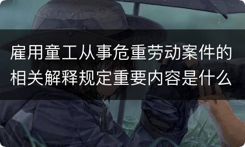 雇用童工从事危重劳动案件的相关解释规定重要内容是什么