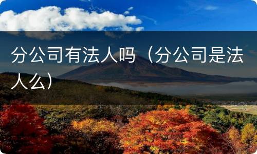分公司有法人吗（分公司是法人么）