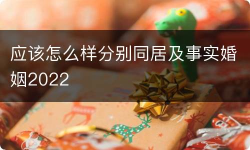应该怎么样分别同居及事实婚姻2022
