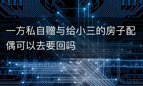 一方私自赠与给小三的房子配偶可以去要回吗
