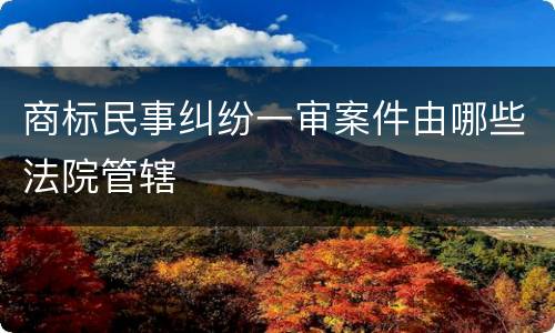 商标民事纠纷一审案件由哪些法院管辖