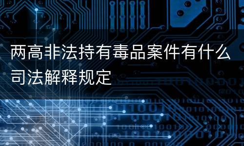 两高非法持有毒品案件有什么司法解释规定