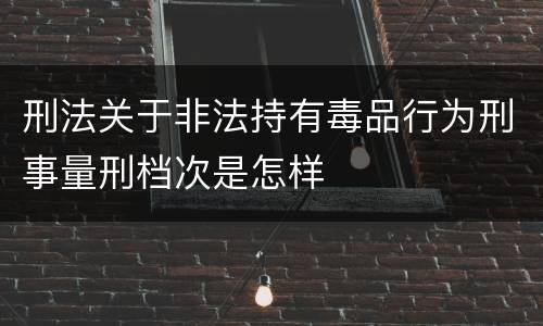 刑法关于非法持有毒品行为刑事量刑档次是怎样