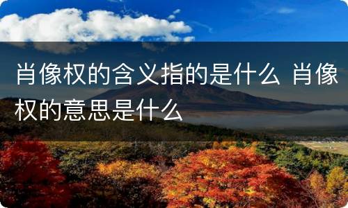 肖像权的含义指的是什么 肖像权的意思是什么