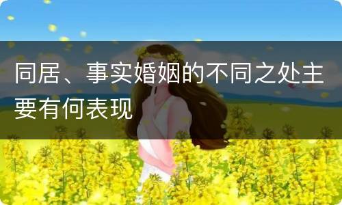 同居、事实婚姻的不同之处主要有何表现