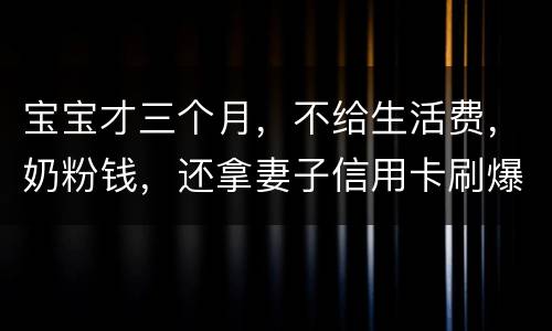 宝宝才三个月，不给生活费，奶粉钱，还拿妻子信用卡刷爆了，没有偿还