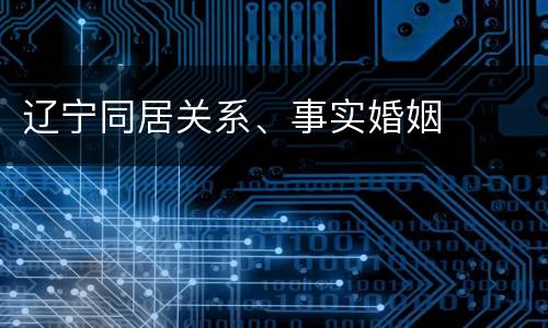 辽宁同居关系、事实婚姻